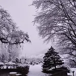 Dans Le Cantal Dans La Vallée De La Maronne Saint-Martin-Valmeroux